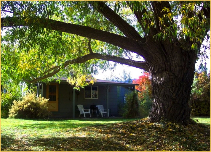 Riverside Cottage Vacation Rental Montana 